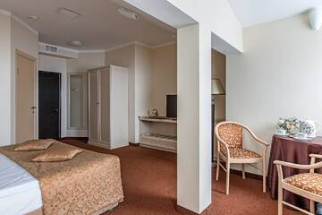 Фото номера STUDIO LUXE Гостиница Cпа Клевер г. Клин 4